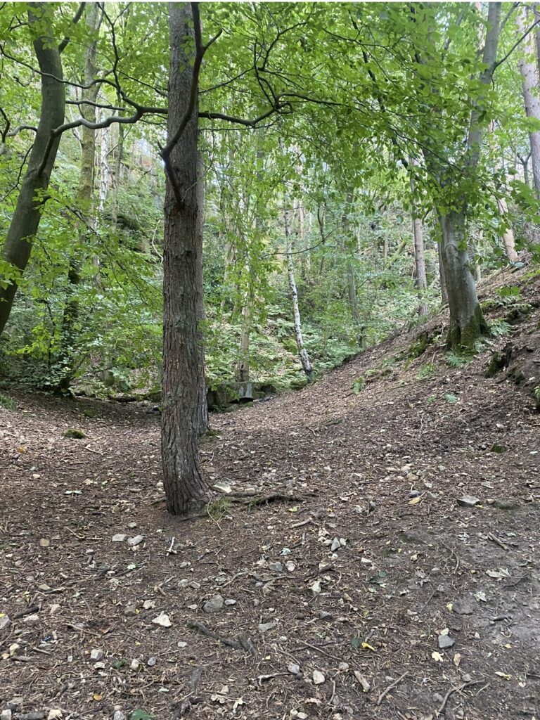 Image11