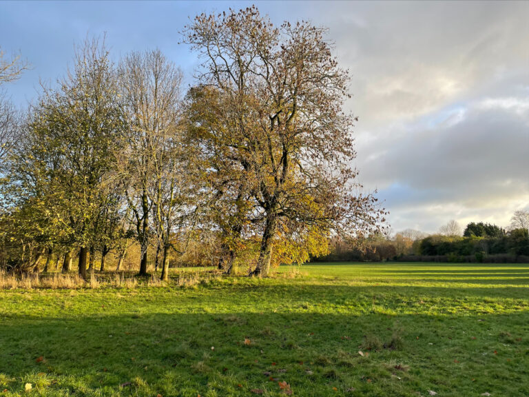 Image4