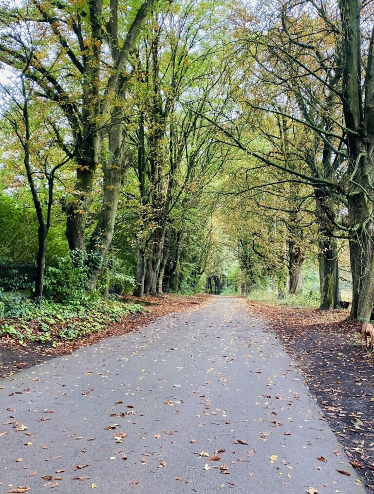 Image7